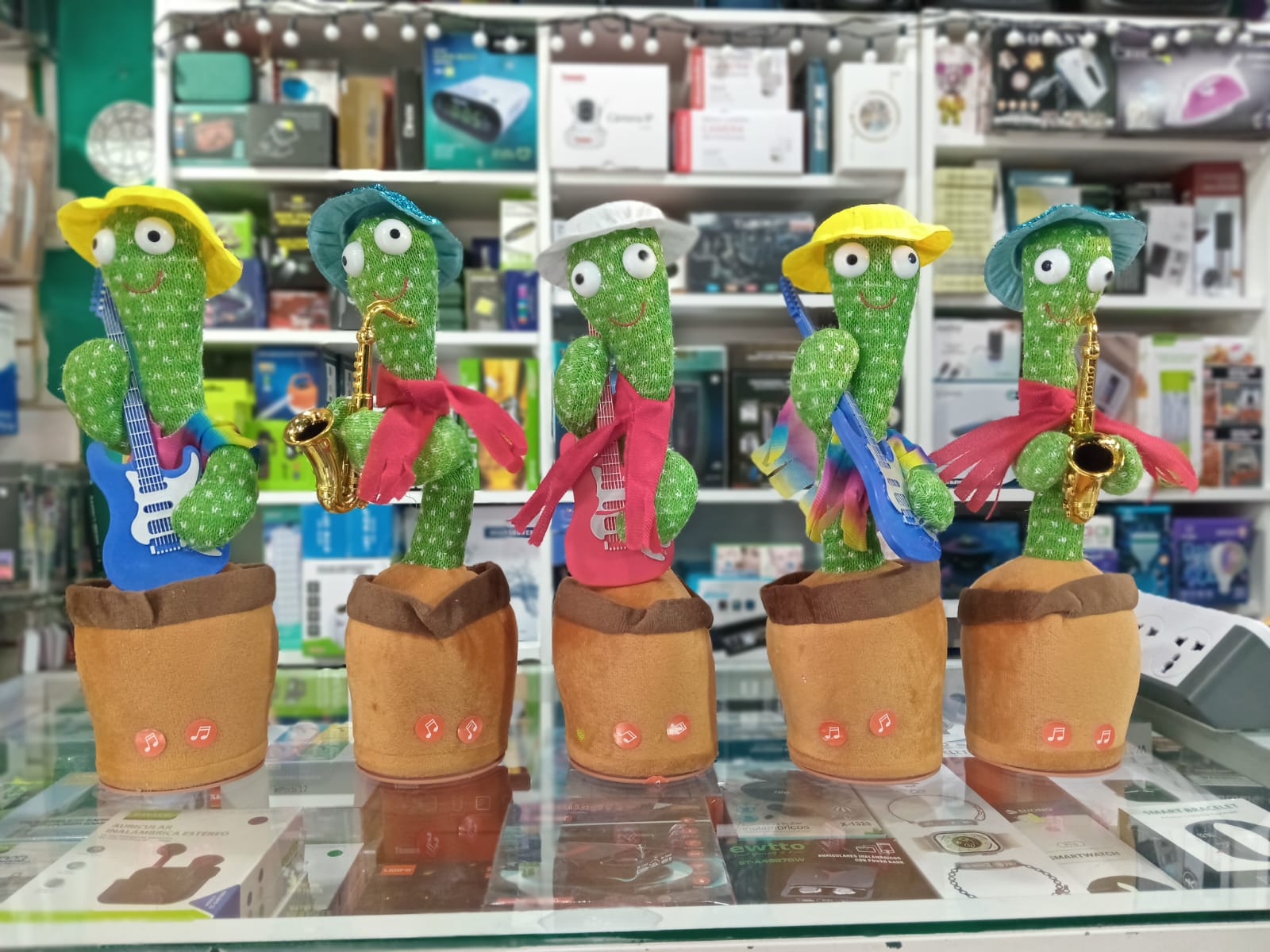 CACTUS BAILARÍN
