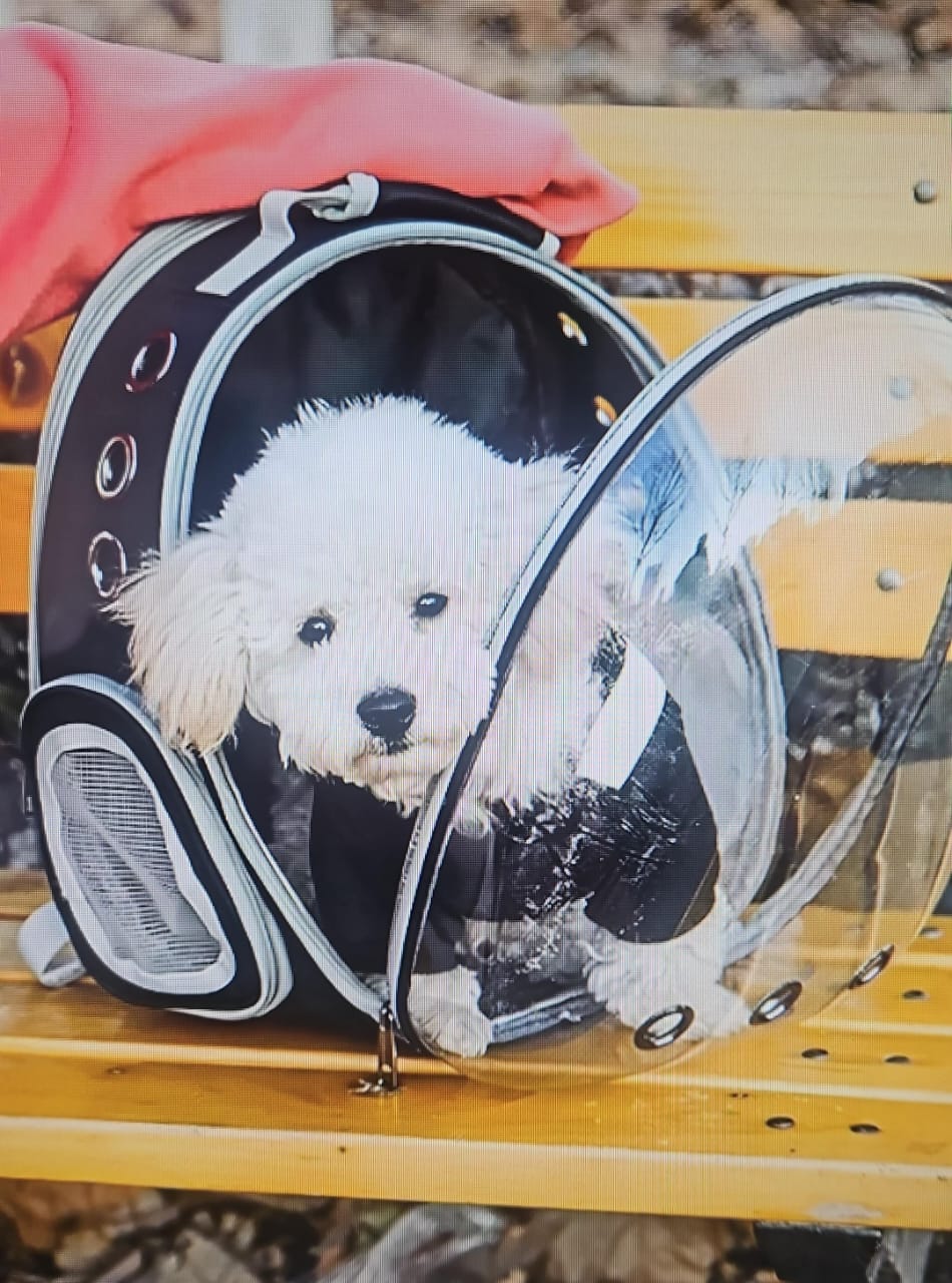 MOCHILA TRANSPORTADORA DE MASCOTAS