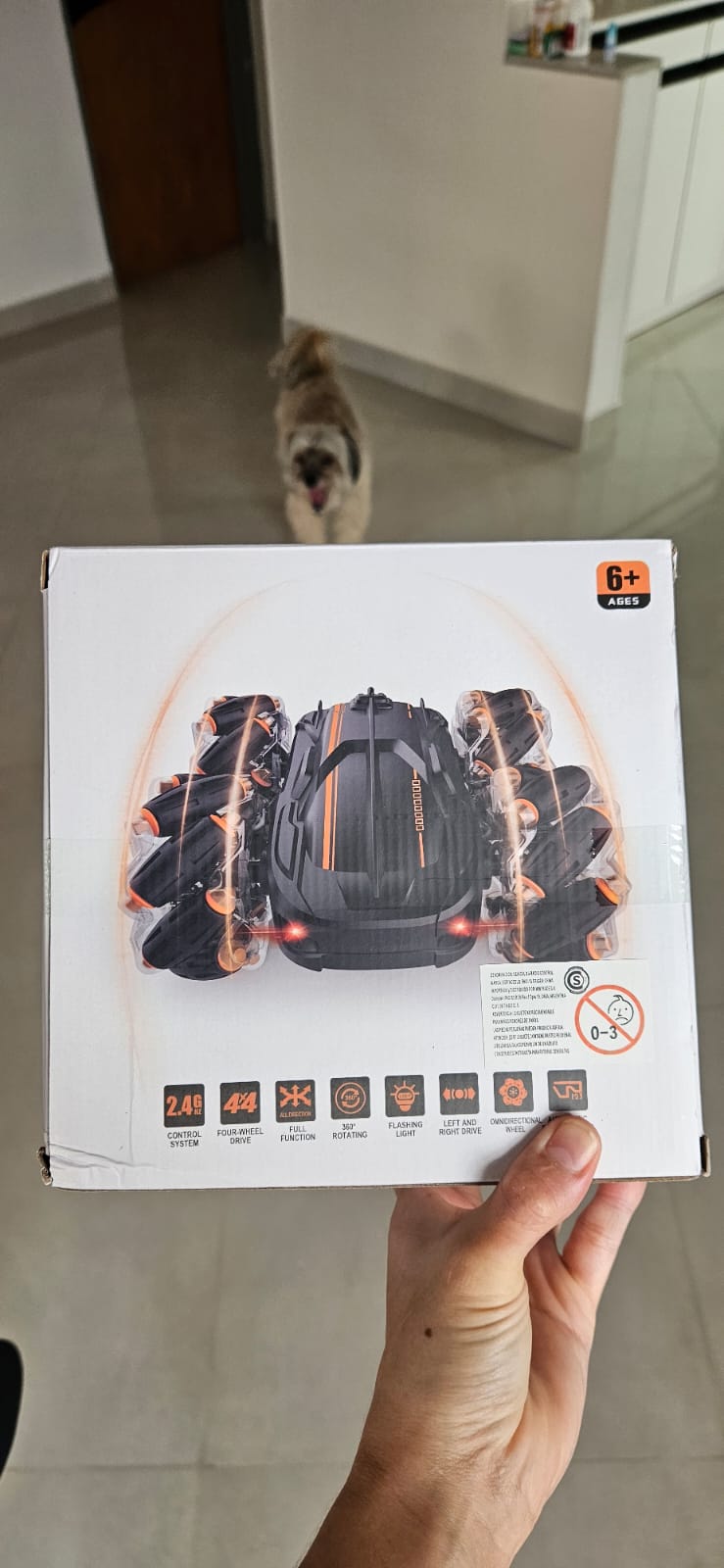 AUTO ACROBATICO