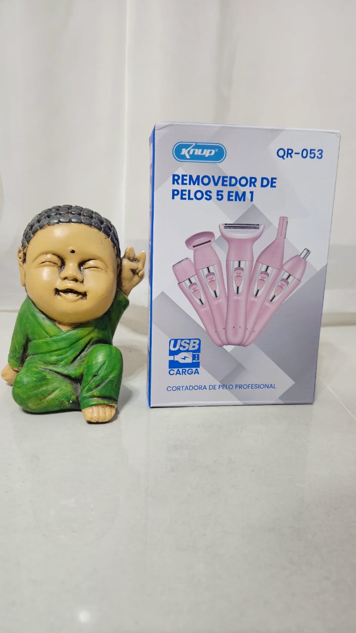 REMOVEDOR DE PELOS 5EN1 QR-053